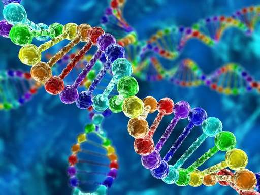 Разница между генетическими и геномными тестами
