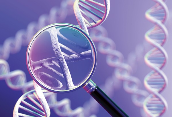Molecular genomic onco-test using leading Israeli oncologists