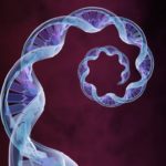 Family history and hematologic malignancies