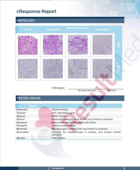 cResponse Report example page2